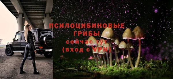 спиды Нягань