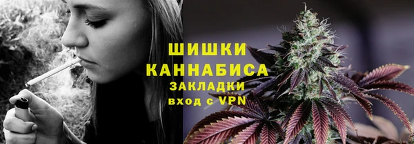 винт Няндома