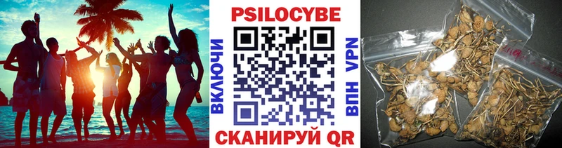 Псилоцибиновые грибы ЛСД  Купить где  Олёкминск 